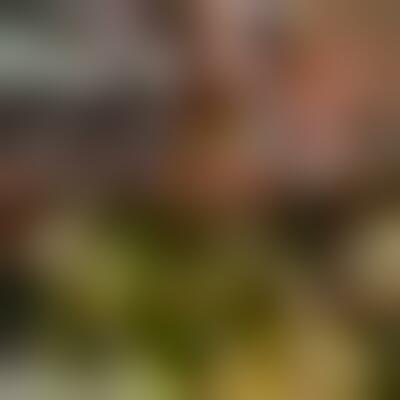 Profilbild eines 49 Jahre alten Manns, Single, 176 cm