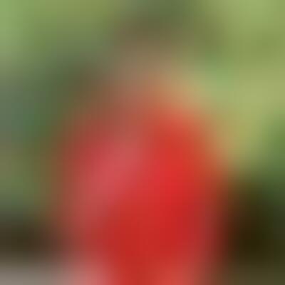 Profilbild einer 64 Jahre alten Frau, Single, 160 cm
